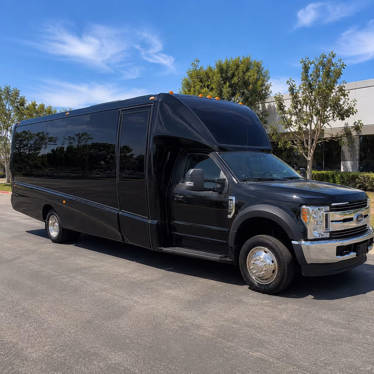 Group beside a Mercedes Sprinter limo in Boise