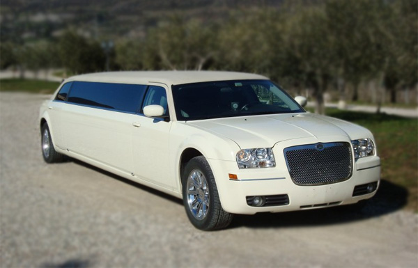 Boise 10 Passenger Limo